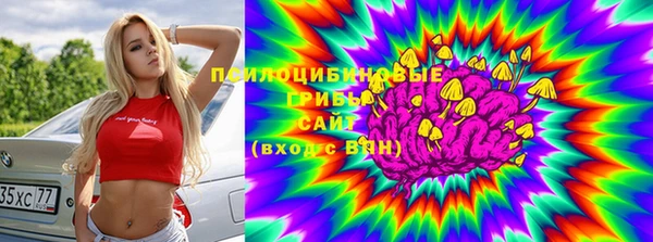 дмт Алзамай