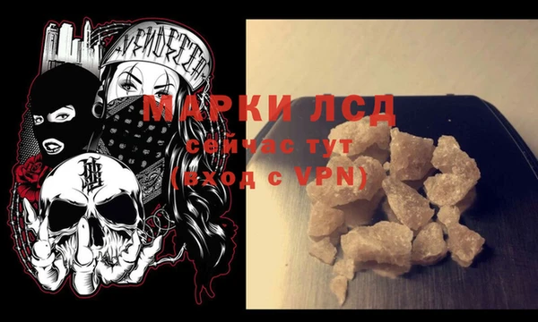 ГАЛЛЮЦИНОГЕННЫЕ ГРИБЫ Абаза