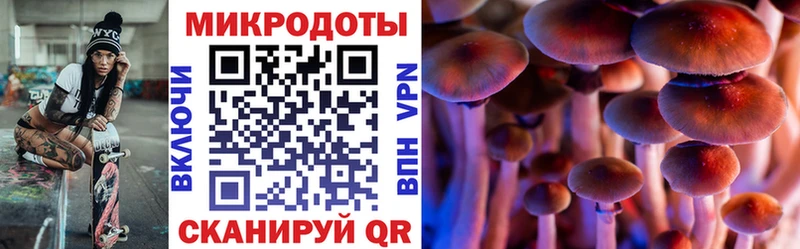 Галлюциногенные грибы мухоморы  где можно купить   Иланский 
